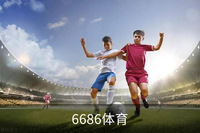 6686体育公司简介图片